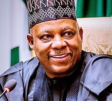 Vice President